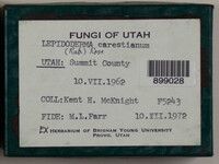 Image Associated With the Occurence